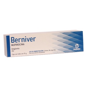 BERNIVER UNGÜENTO 2% Tubo c/15 G.
