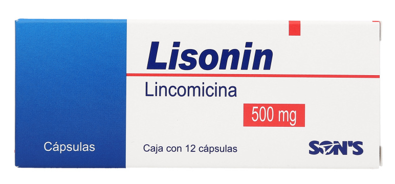 LISONIN c/12 CAPS. 500 MG.