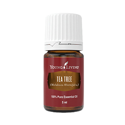 OLIBEL ACEITE ESENCIAL "TEA TREE" c/1 Fco. 5 ML.