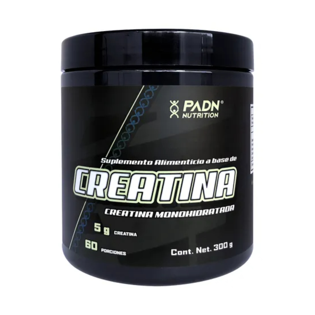 CREATINA (PADN) POLVO SABOR NATURAL BOTE 300 G.