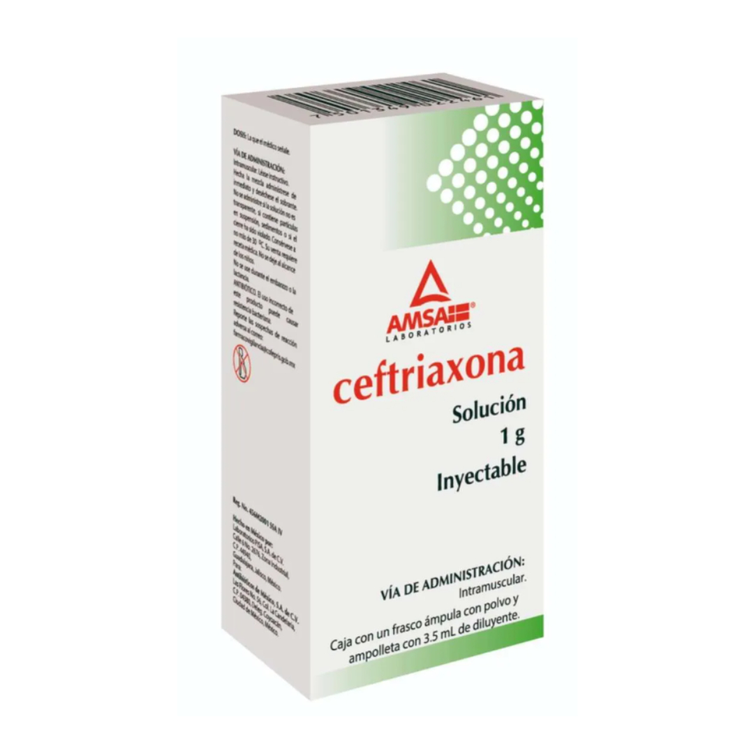 CEFTRIAXONA (AMSA) I.M. SOL. INY. C/1 FCO. AMP. 1