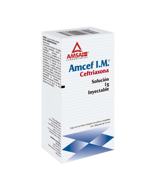 AMCEF I.M. Sol. Iny. c/1 FCO. AMP. 1 G/3.5 ML. ceftriaxona