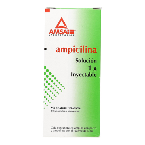 AMPICILINA (Amsa) Sol. Iny. c/1 FCO. AMP. 1 G/5 ML.