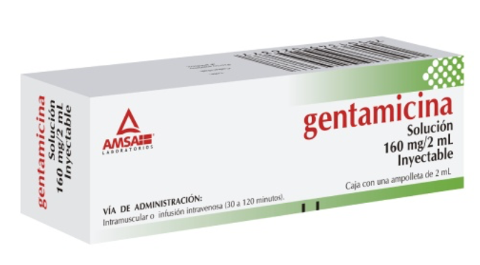 GENTAMICINA (Amsa) Sol. Iny. c/5 AMPTAS. 160 MG/2 ML..