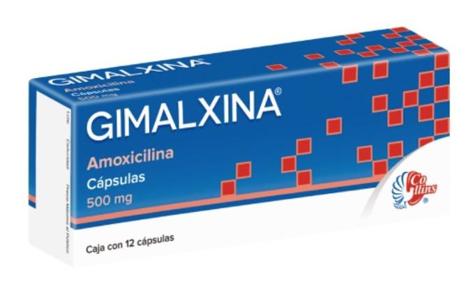 GIMALXINA C/12 CAPS. 500 MG.